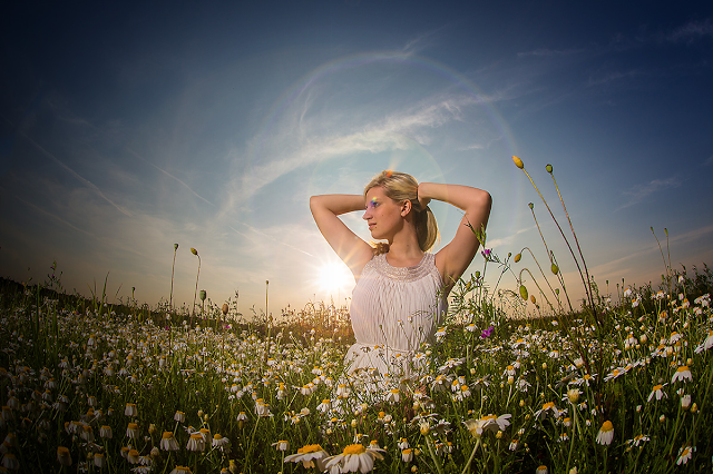 FLOWER FIELDS AND RANDOM